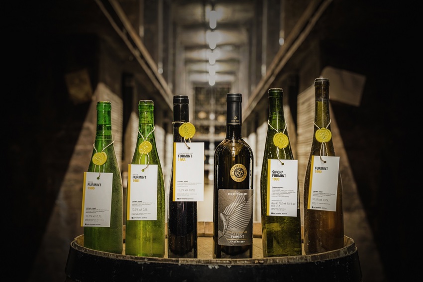 Puklavec Furmint