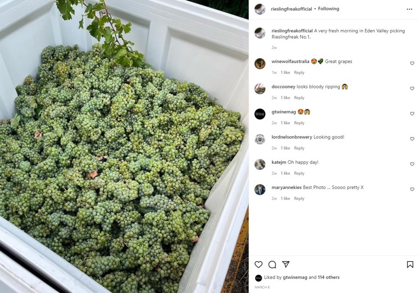 Rieslingfreak harvest