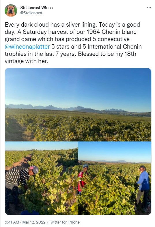 Stellenrust harvest
