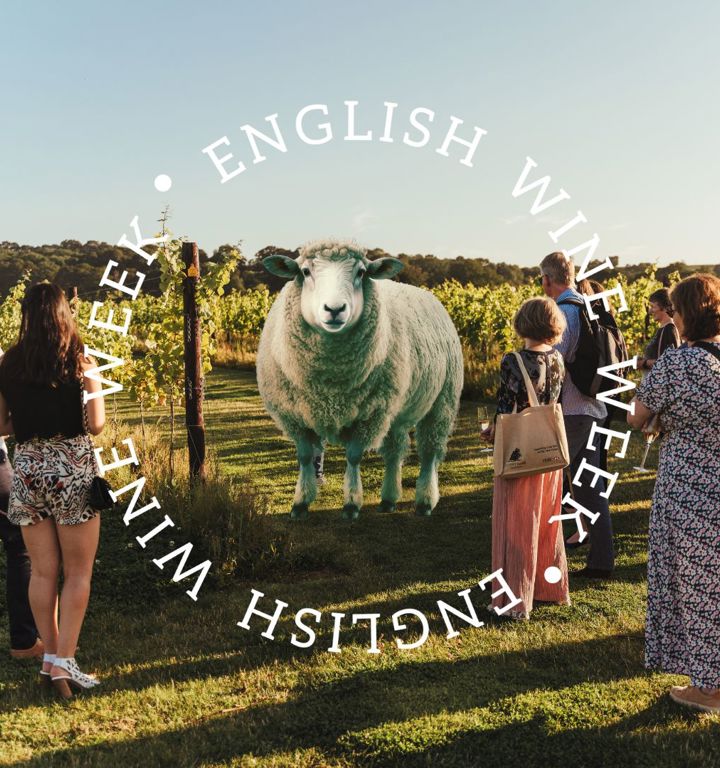 English Wine Boom 